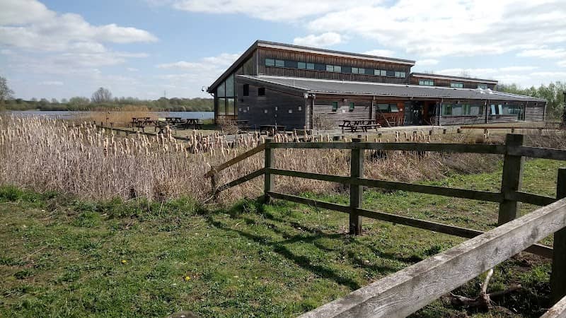 Idle Valley Nature Reserve (Nottinghamshire Wildlife Trust) - Image 1