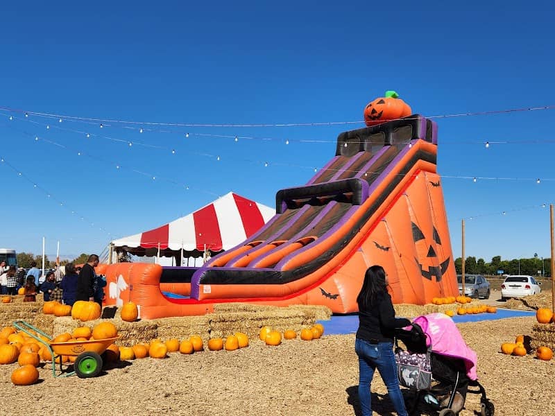 Seasonal Adventures Pumpkin Patch & Christmas Trees - Image 1