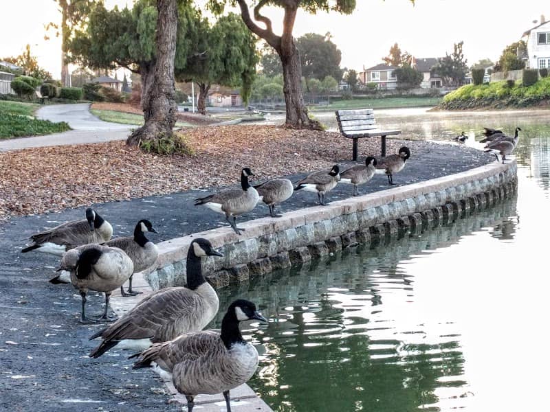 Lakeshore Park - Image 1