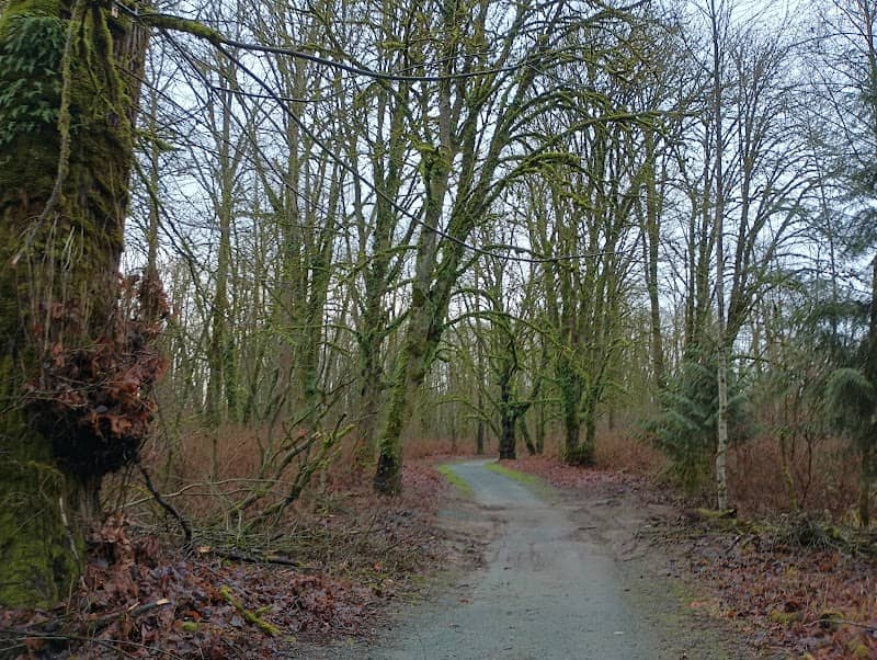 Al Borlin Trail - Image 2