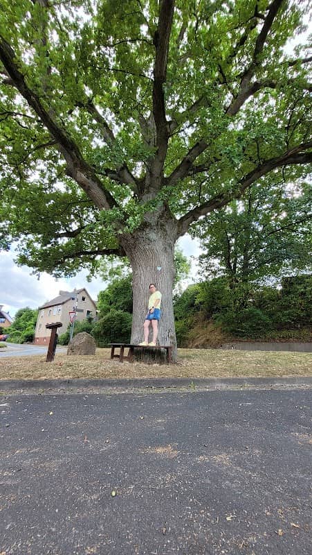 Stemmer Eiche 🌳 - Image 1