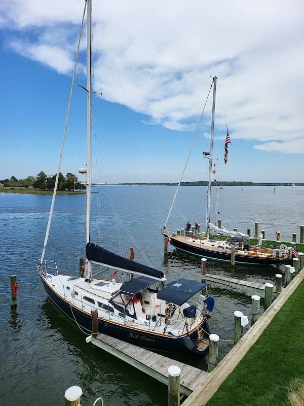 At Play on the Bay Exhibition, CBMM - Image 2