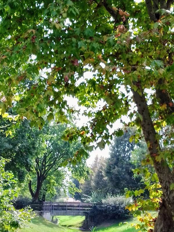 Parco pubblico di Noviglio borgoverdirolo - Image 3