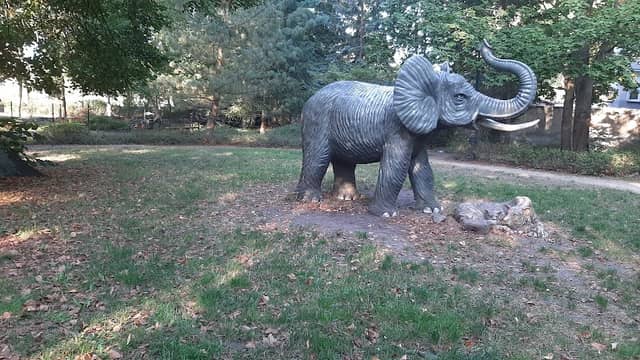 Park - Image 1