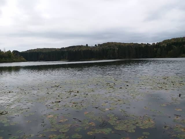 Hills Creek State Park Office - Image 2