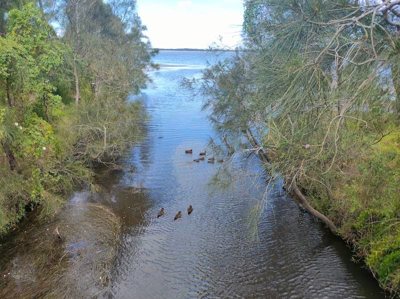 Woodland Parkway Reserve - Image 2
