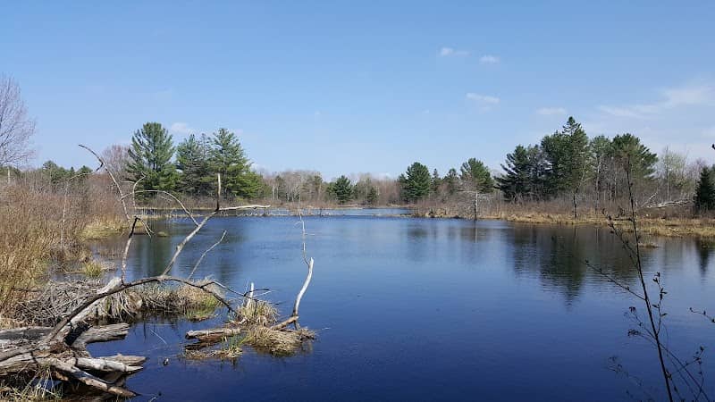 The Kris Starr Sanctuary - Image 1