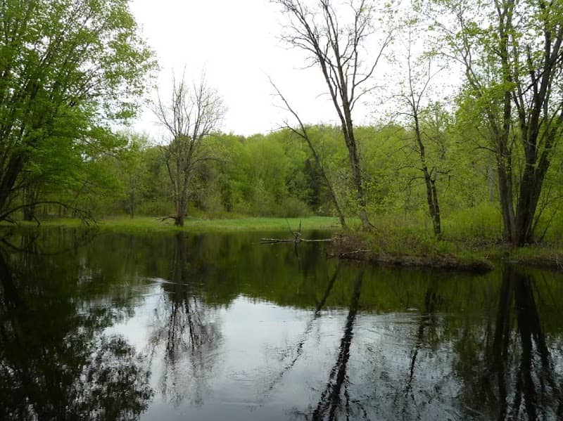 The Kris Starr Sanctuary - Image 2