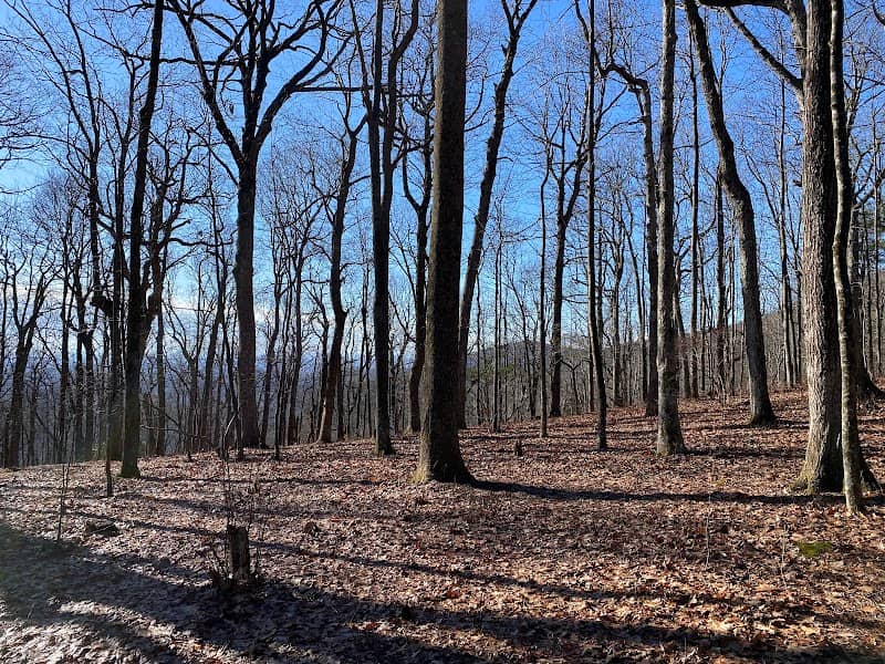 Benton MacKaye Trail - Image 1