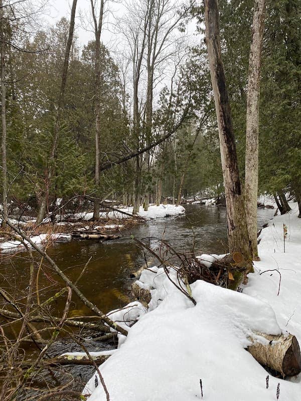 Door County Land Trust - Erskine Woods Natural Area - Image 1