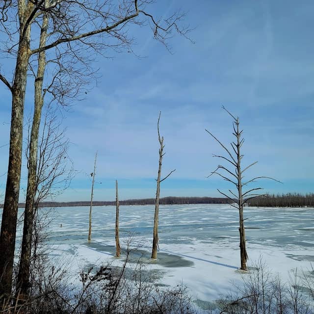 Hovey Lake Fish and Wildlife Area - Image 1
