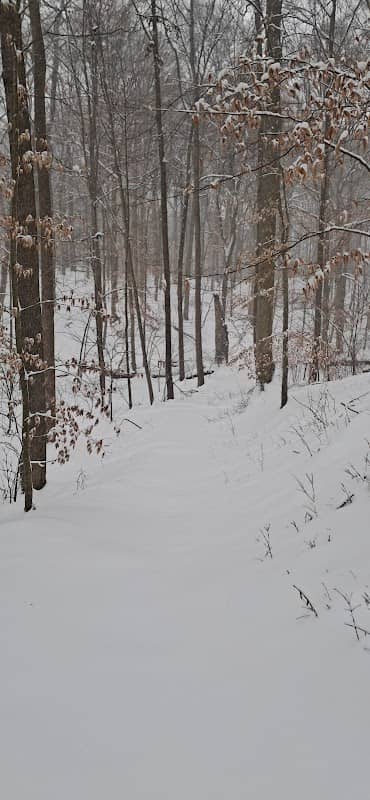 Trillium Trail at St.Anne Woods - Image 1