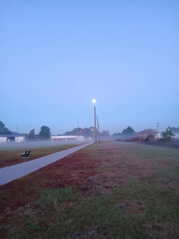 Vander Walking Track - Image 1