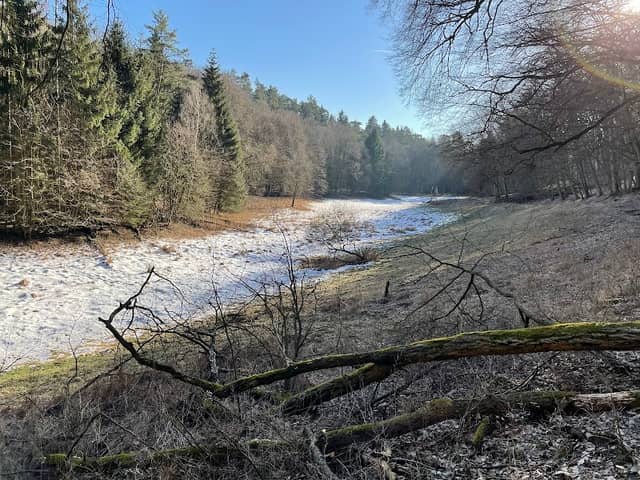 Am Pichesee - Image 1