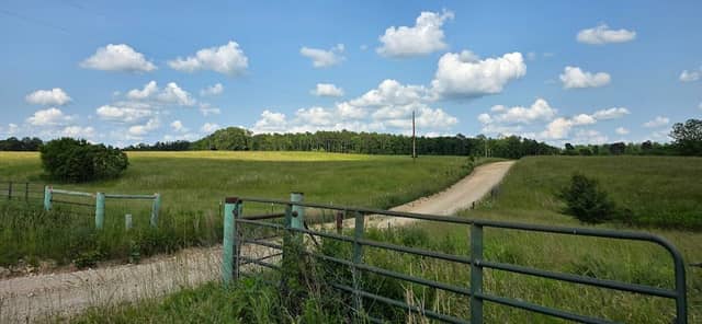 Carmen Springs Wildlife Refuge Management Area - Image 2