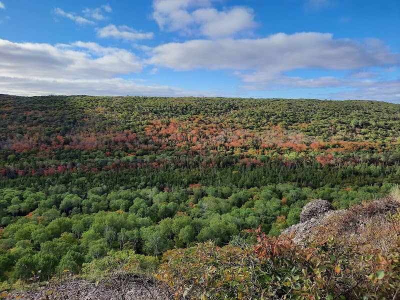 James H. Klipfel Memorial Nature Sanctuary at Brockway Mountain - Image 1