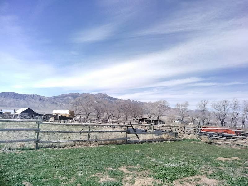 Scipio Rodeo Grounds - Image 1