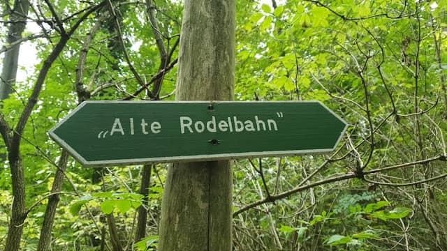 Alte Rodelbahn - Image 1