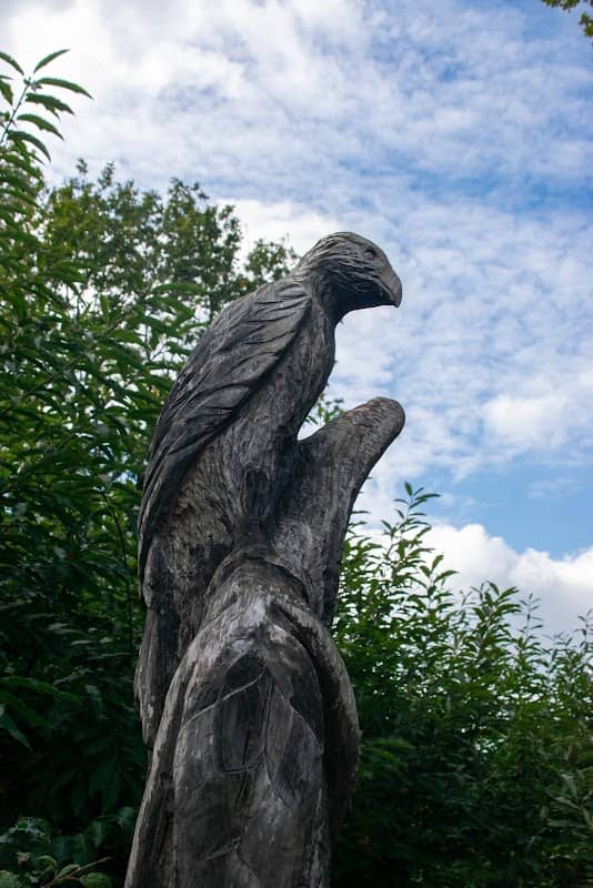 Cromers Wood - Kent Wildlife Trust - Image 1