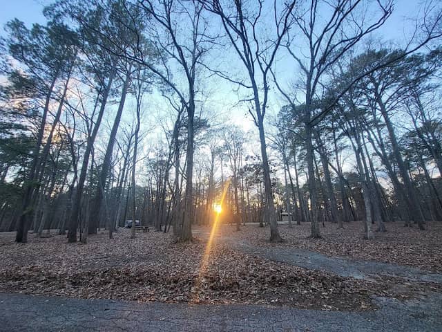 Indian Mounds Wilderness - Image 2