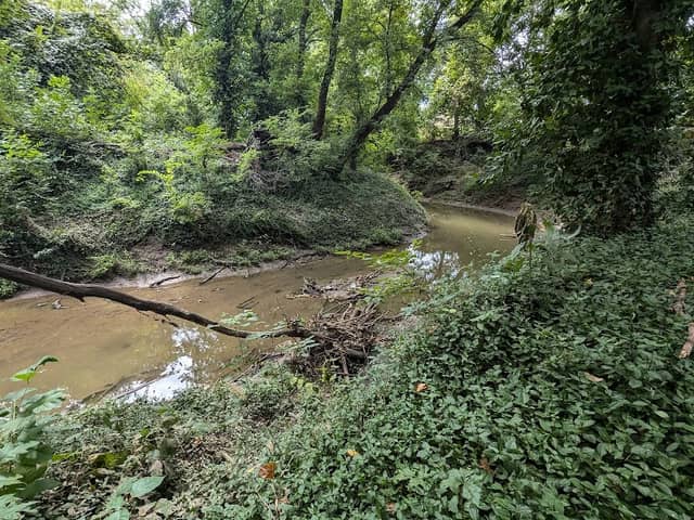 Riley Park - Image 2