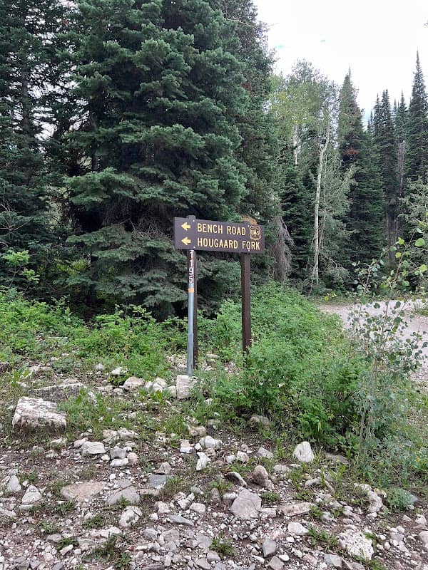 Manti Canyon Road Scenic Drive - Image 2