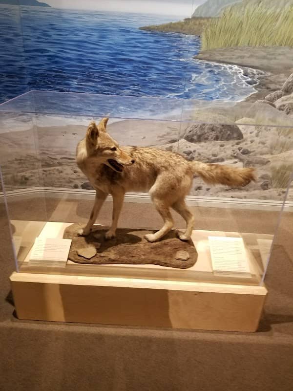 Museum of Ventura County - Image 3