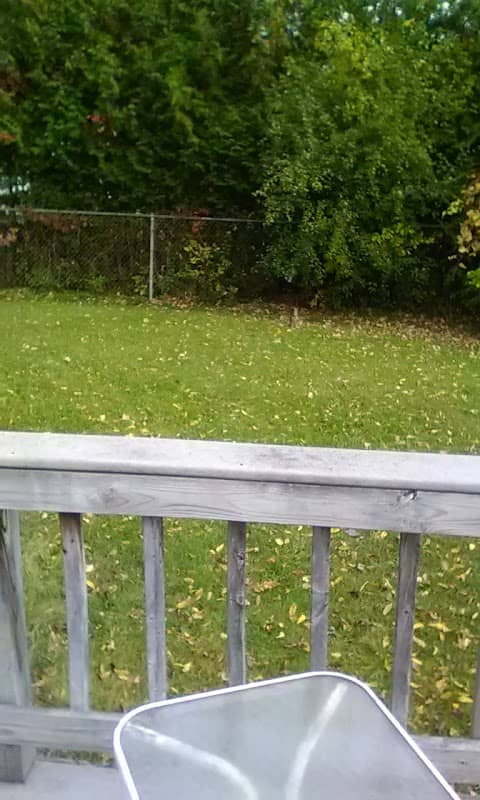 Tremblay Park - Image 1