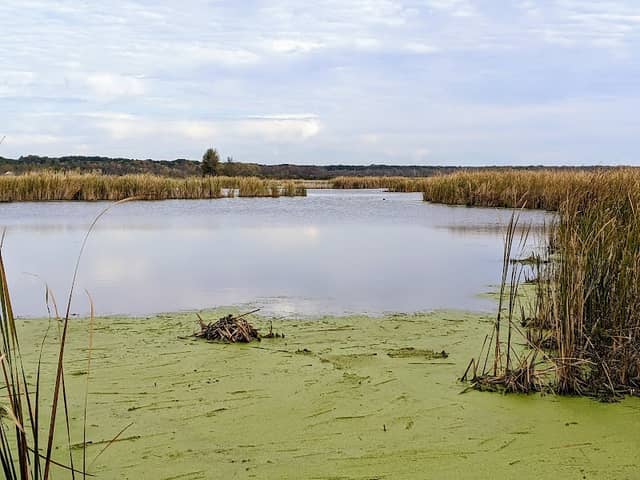 Lions Park - Image 1