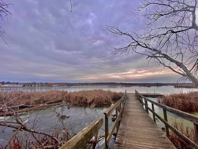 Lions Park - Image 2