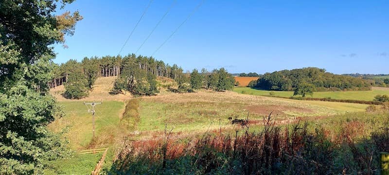 Gawburrow Hill - Image 1