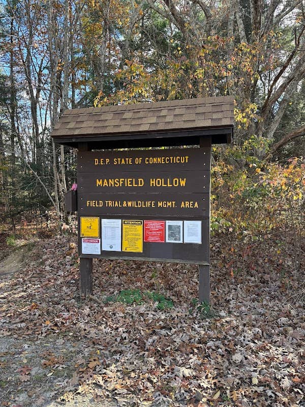 Mansfield Hollow State Park - Image 2