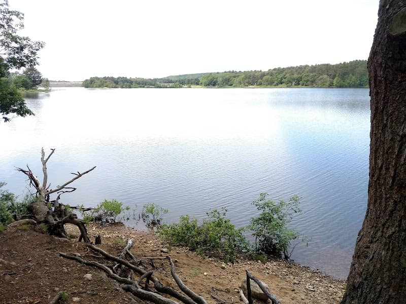 Mansfield Hollow State Park - Image 1