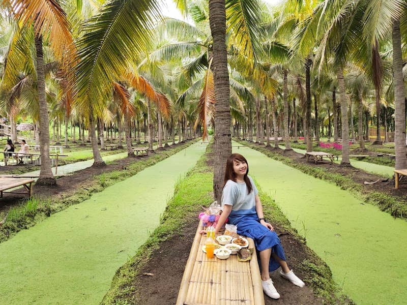 Coconut Market - Image 1