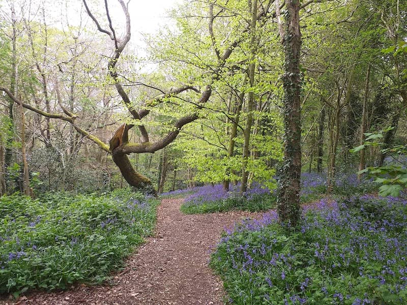 Kentwood Grove - Image 2