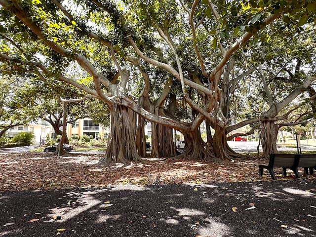 Heritage Park - Image 1