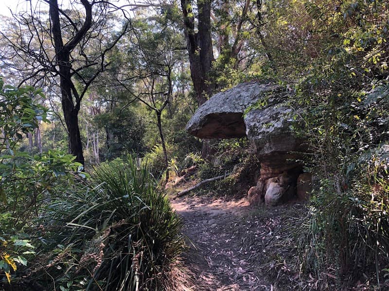 Great North Walk - Lane Cove National Park - Image 1