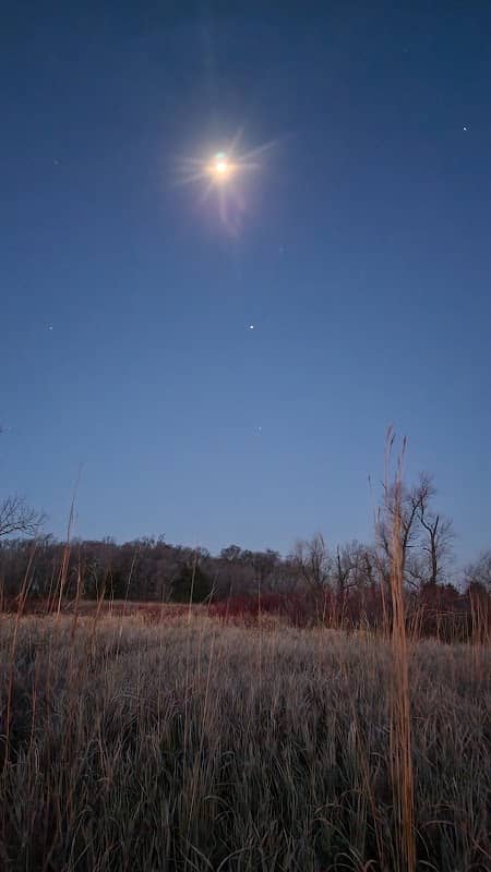 Sangl Wildlife Management Area - Image 2