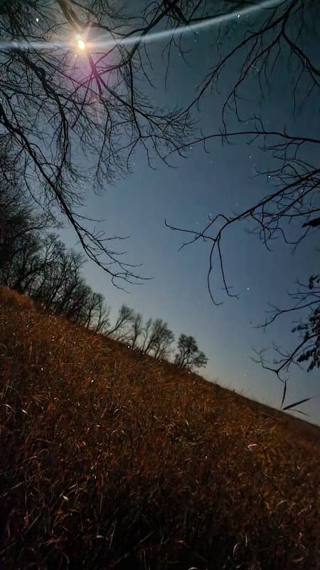 Sangl Wildlife Management Area - Image 1