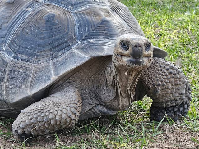 Columbus Zoo Texas - Image 1