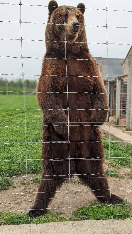 Wolds Wildlife Park - Image 2