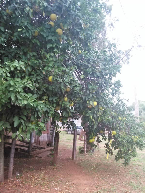 Moreno Park - Image 1