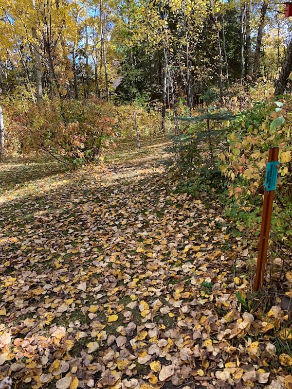 Whitegull Trails - Image 1