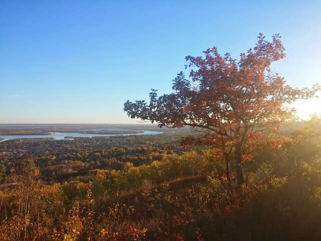 Bellevue Park - Image 3