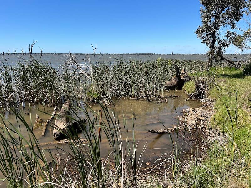 Corowa to Mulwala Shared Trail - Image 1