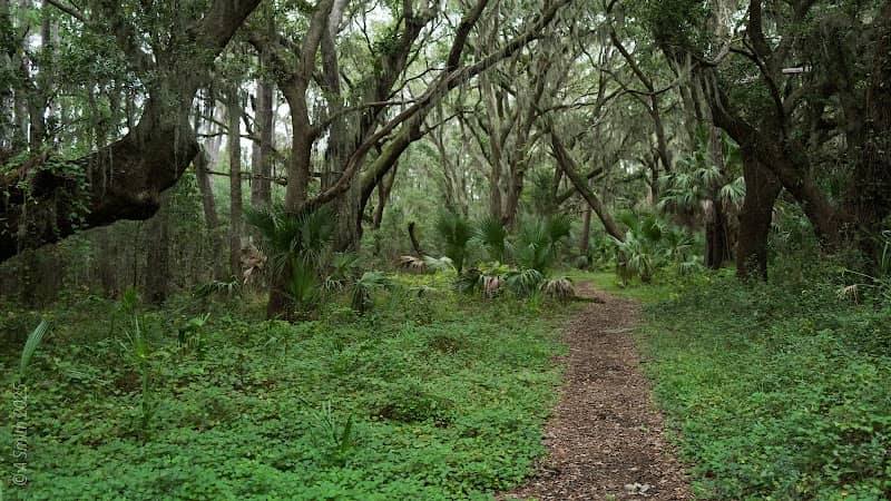 Nan Lloyd Nature Trail - Image 2