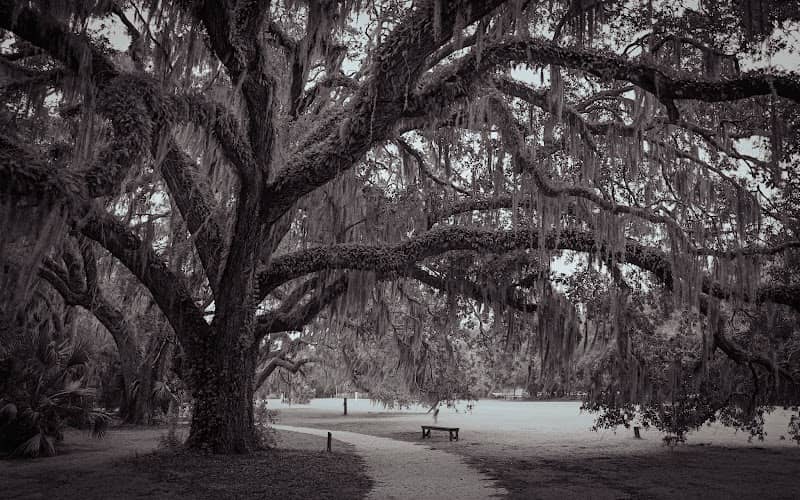 Nan Lloyd Nature Trail - Image 1
