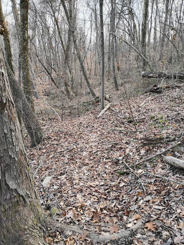 Tremper Mound Huckleberry Ridge - Image 1