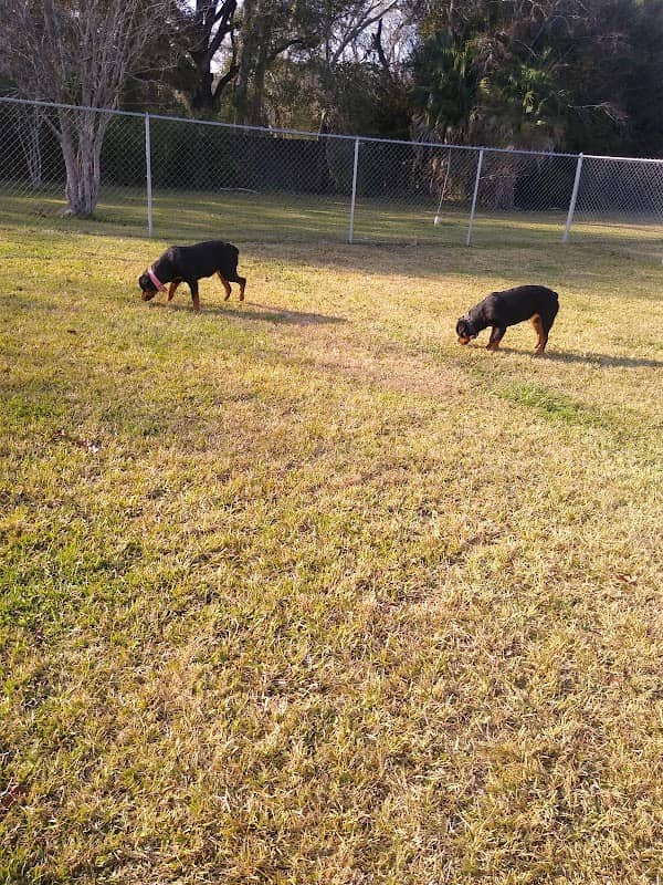 Pawhurst dog park - Image 1