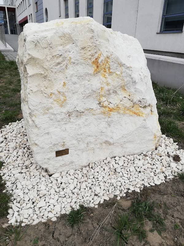 Lapidarium Instytutu Geografii i Nauk o Środowisku UJK - Image 3